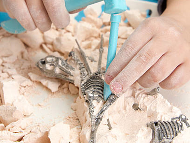 “Little Palaeontologists in action” - Μικροί Παλαιοντολόγοι εν δράσει…